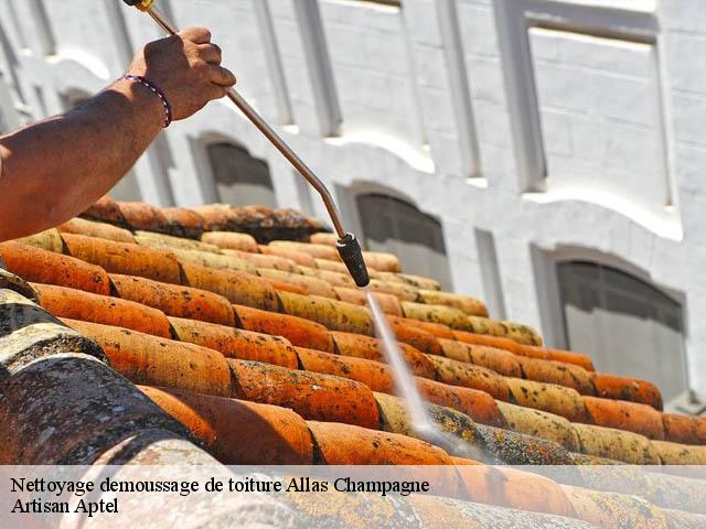 Nettoyage demoussage de toiture  allas-champagne-17500 Artisan Aptel
