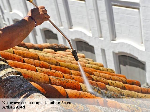 Nettoyage demoussage de toiture  arces-17120 Artisan Aptel