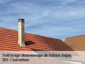 Nettoyage demoussage de toiture 17770