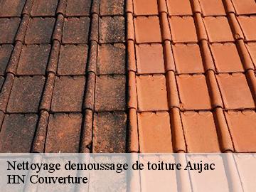 Nettoyage demoussage de toiture aujac-17770 HN Couverture