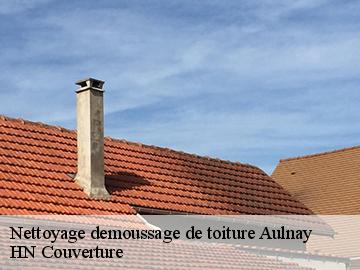 Nettoyage demoussage de toiture 17470