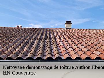 Nettoyage demoussage de toiture