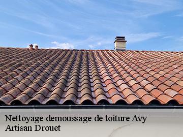 Nettoyage demoussage de toiture