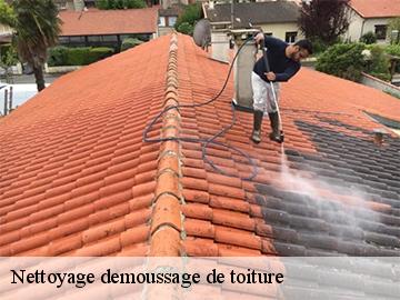 Nettoyage demoussage de toiture