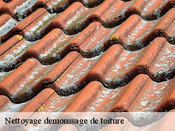 Nettoyage demoussage de toiture