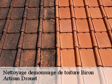 Nettoyage demoussage de toiture biron-17800 Artisan Drouet