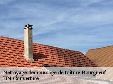 Nettoyage demoussage de toiture 17220