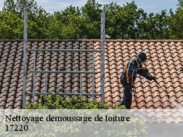 Nettoyage demoussage de toiture 17220