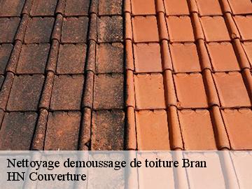 Nettoyage demoussage de toiture bran-17210 HN Couverture