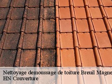 Nettoyage demoussage de toiture  breuil-magne-17870 HN Couverture
