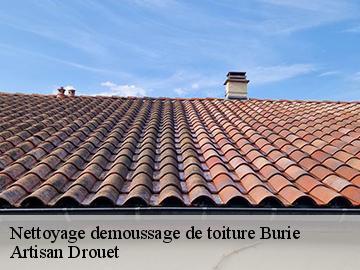 Nettoyage demoussage de toiture