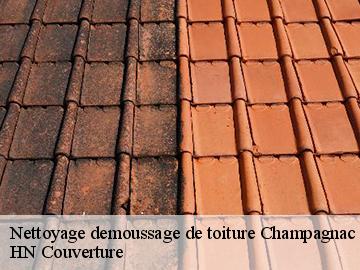 Nettoyage demoussage de toiture  champagnac-17500 Artisan Aptel