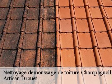 Nettoyage demoussage de toiture  champagnolles-17240 Artisan Drouet