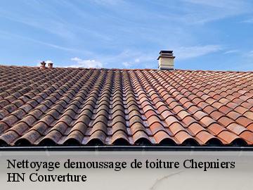 Nettoyage demoussage de toiture