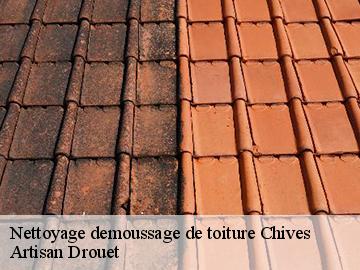Nettoyage demoussage de toiture  chives-17510 Artisan Drouet