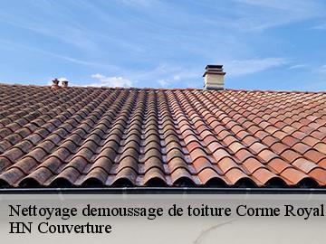 Nettoyage demoussage de toiture