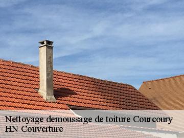 Nettoyage demoussage de toiture 17100