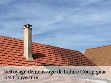 Nettoyage demoussage de toiture 17130