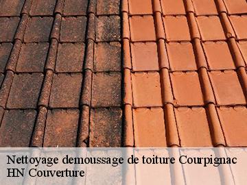 Nettoyage demoussage de toiture courpignac-17130 HN Couverture
