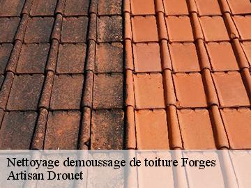 Nettoyage demoussage de toiture forges-17290 Artisan Drouet