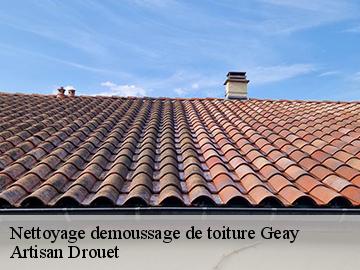 Nettoyage demoussage de toiture