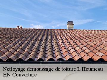 Nettoyage demoussage de toiture