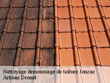 Nettoyage demoussage de toiture  jonzac-17500 Artisan Drouet