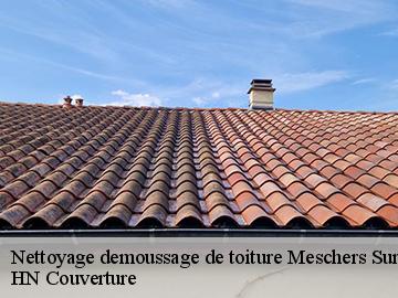 Nettoyage demoussage de toiture