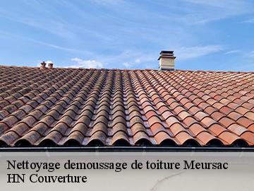 Nettoyage demoussage de toiture