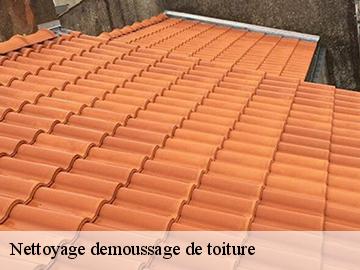 Nettoyage demoussage de toiture 17113