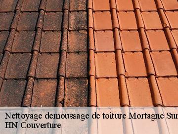 Nettoyage demoussage de toiture  mortagne-sur-gironde-17120 Artisan Aptel