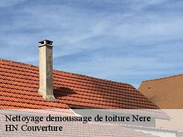 Nettoyage demoussage de toiture  17510