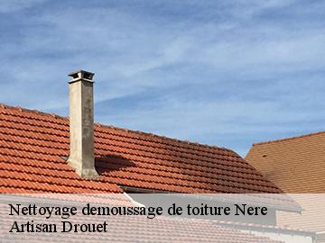 Nettoyage demoussage de toiture 17510