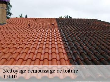 Nettoyage demoussage de toiture