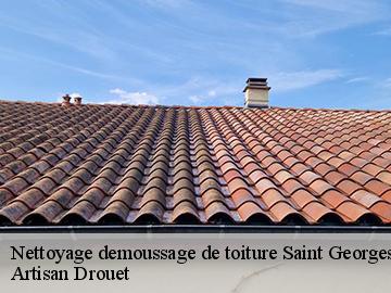 Nettoyage demoussage de toiture