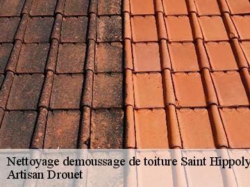 Nettoyage demoussage de toiture saint-hippolyte-17430 Artisan Drouet