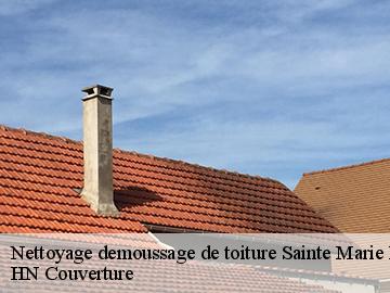 Nettoyage demoussage de toiture 17740