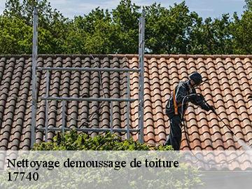 Nettoyage demoussage de toiture 17740