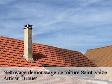 Nettoyage demoussage de toiture  17100