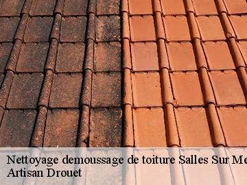 Nettoyage demoussage de toiture  salles-sur-mer-17220 Artisan Drouet