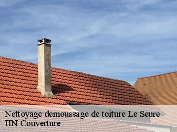 Nettoyage demoussage de toiture 17770