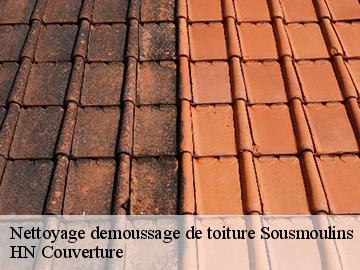 Nettoyage demoussage de toiture  sousmoulins-17130 Artisan Aptel