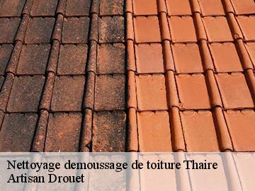 Nettoyage demoussage de toiture thaire-17290 Artisan Drouet