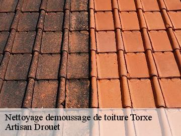 Nettoyage demoussage de toiture  torxe-17380 Artisan Drouet