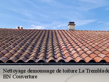 Nettoyage demoussage de toiture