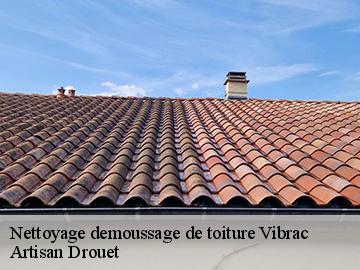 Nettoyage demoussage de toiture