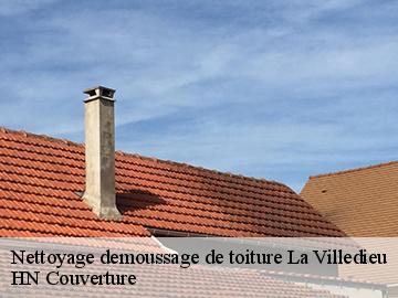 Nettoyage demoussage de toiture 17470