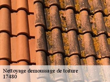 Nettoyage demoussage de toiture  17480