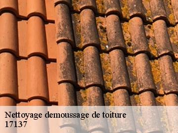 Nettoyage demoussage de toiture 17137