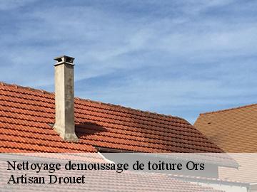 Nettoyage demoussage de toiture 17480